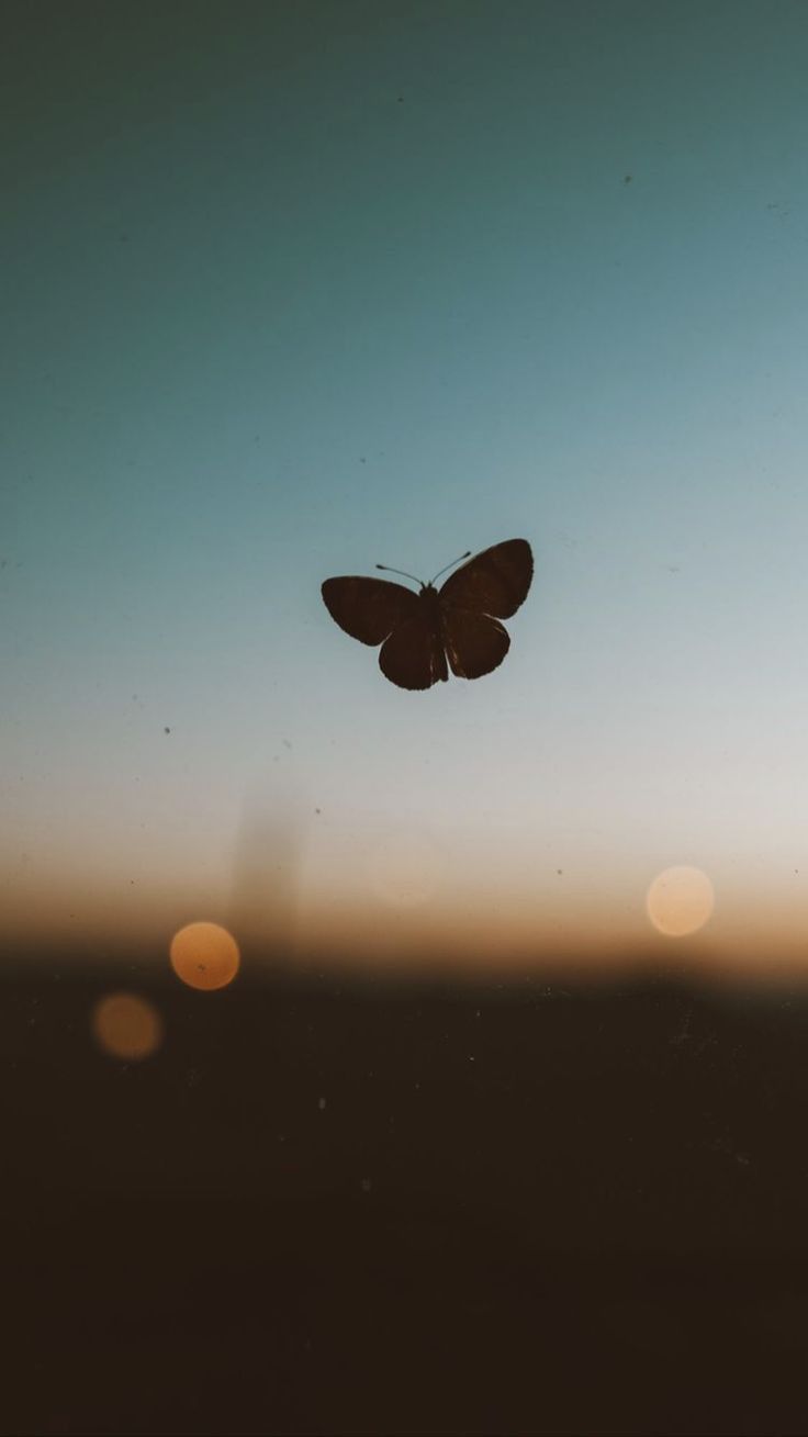 The Truth About Healing and Awakening